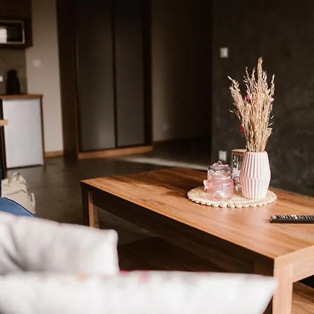 Blekitna Przystan 아파트 웨바